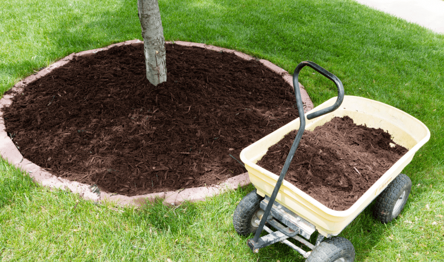 MULCHING SERVICE